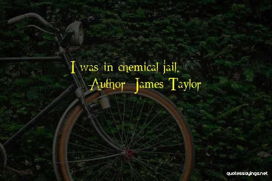 James Taylor Quotes: I Was In Chemical Jail.