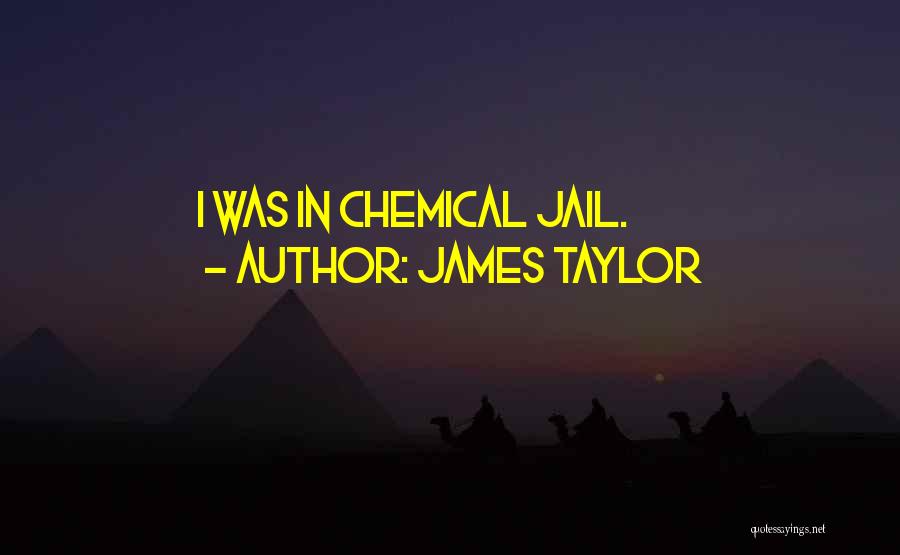 James Taylor Quotes: I Was In Chemical Jail.