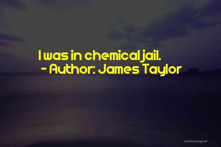 James Taylor Quotes: I Was In Chemical Jail.