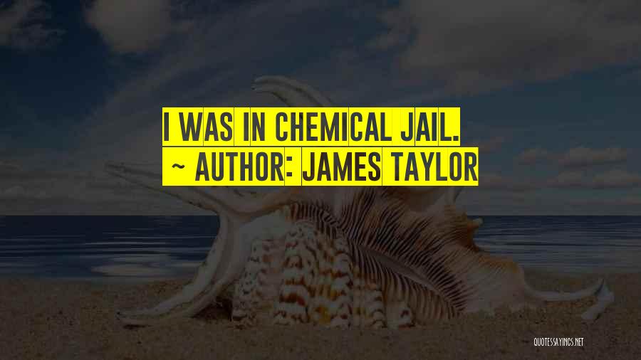 James Taylor Quotes: I Was In Chemical Jail.