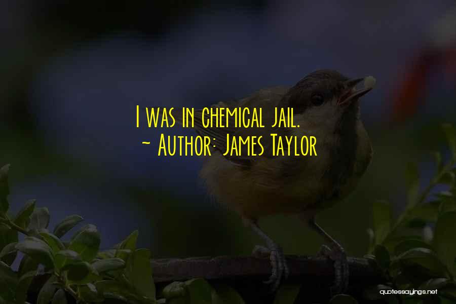 James Taylor Quotes: I Was In Chemical Jail.