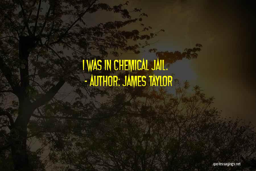 James Taylor Quotes: I Was In Chemical Jail.