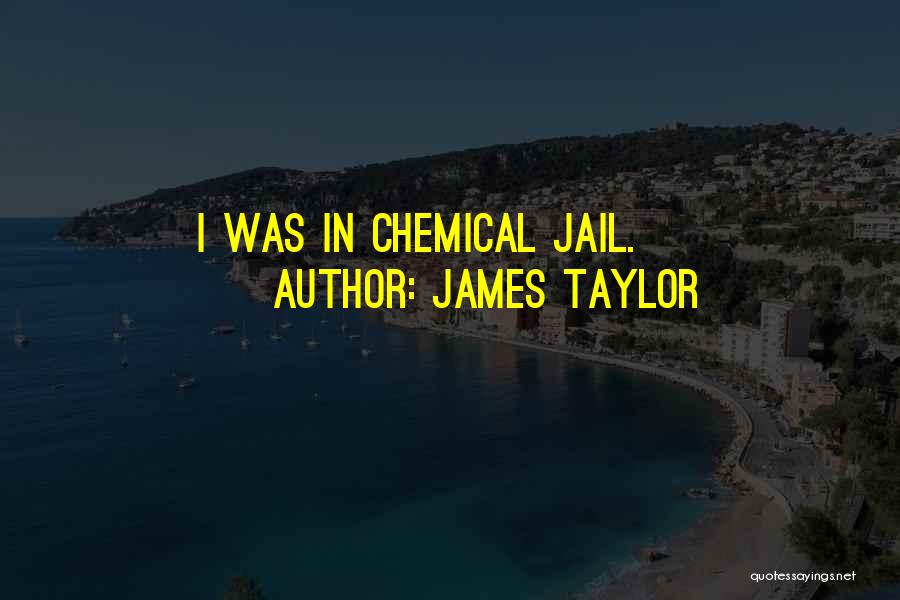 James Taylor Quotes: I Was In Chemical Jail.