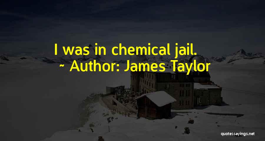 James Taylor Quotes: I Was In Chemical Jail.