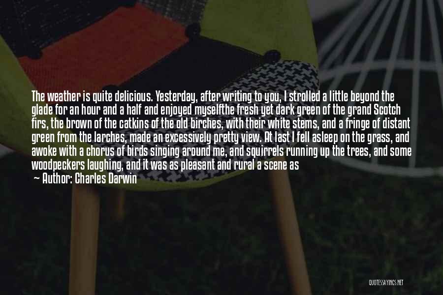 Charles Darwin Quotes: The Weather Is Quite Delicious. Yesterday, After Writing To You, I Strolled A Little Beyond The Glade For An Hour