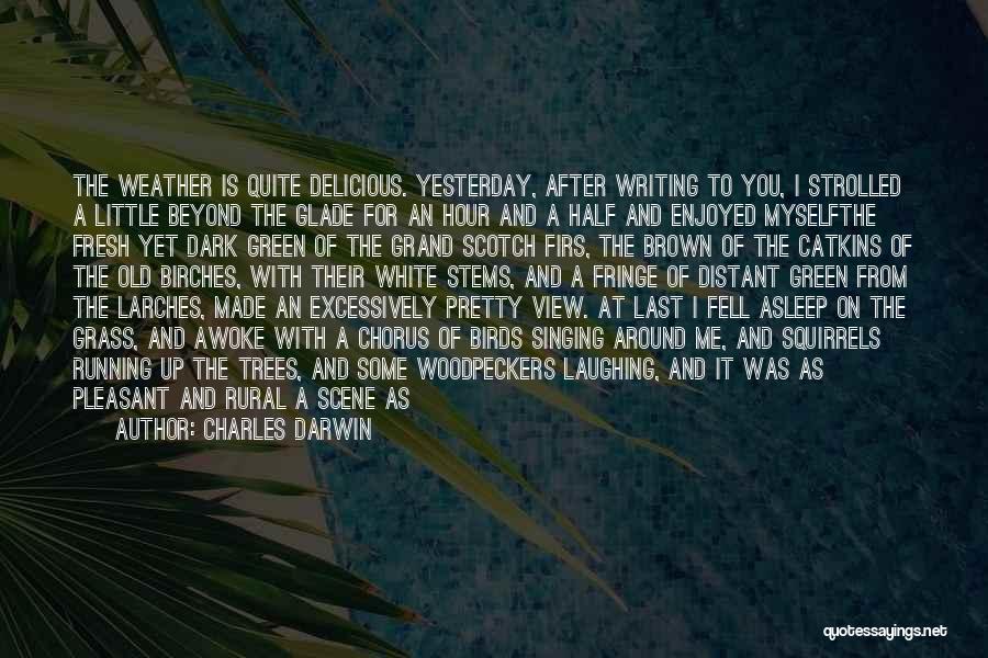 Charles Darwin Quotes: The Weather Is Quite Delicious. Yesterday, After Writing To You, I Strolled A Little Beyond The Glade For An Hour