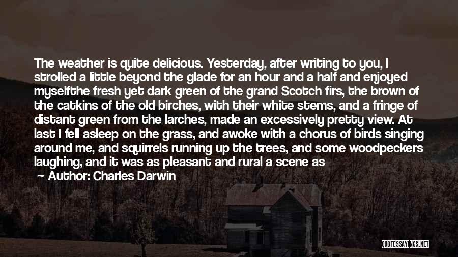 Charles Darwin Quotes: The Weather Is Quite Delicious. Yesterday, After Writing To You, I Strolled A Little Beyond The Glade For An Hour