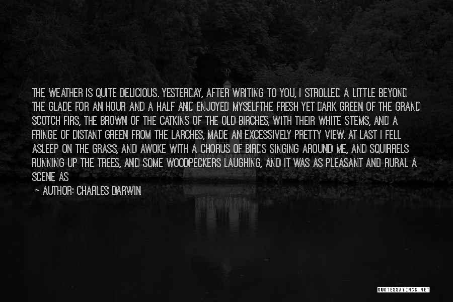 Charles Darwin Quotes: The Weather Is Quite Delicious. Yesterday, After Writing To You, I Strolled A Little Beyond The Glade For An Hour