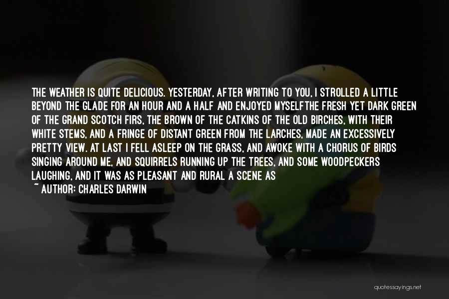 Charles Darwin Quotes: The Weather Is Quite Delicious. Yesterday, After Writing To You, I Strolled A Little Beyond The Glade For An Hour