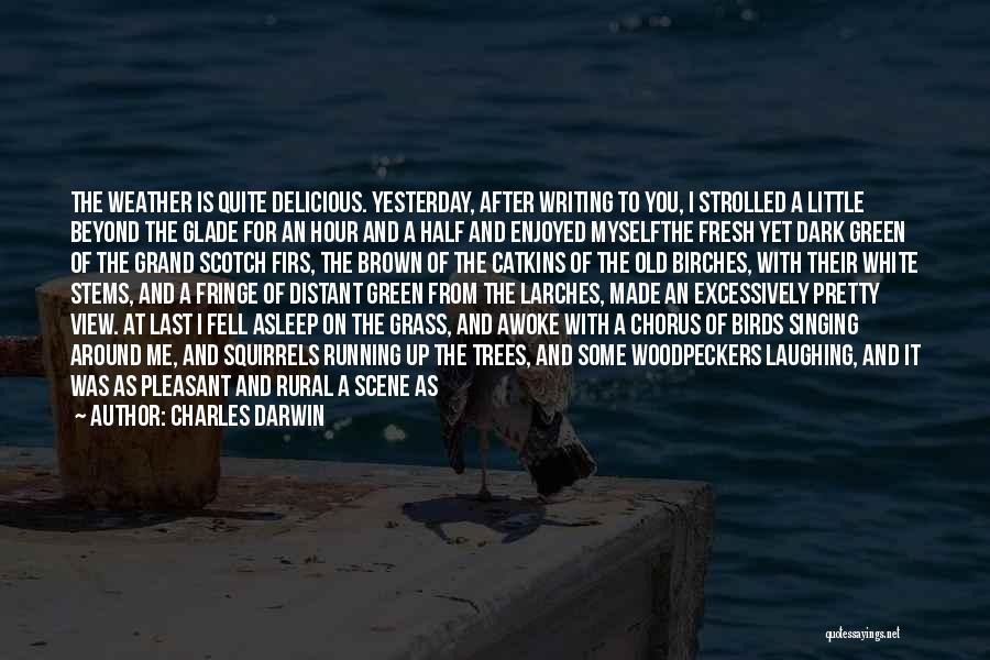 Charles Darwin Quotes: The Weather Is Quite Delicious. Yesterday, After Writing To You, I Strolled A Little Beyond The Glade For An Hour