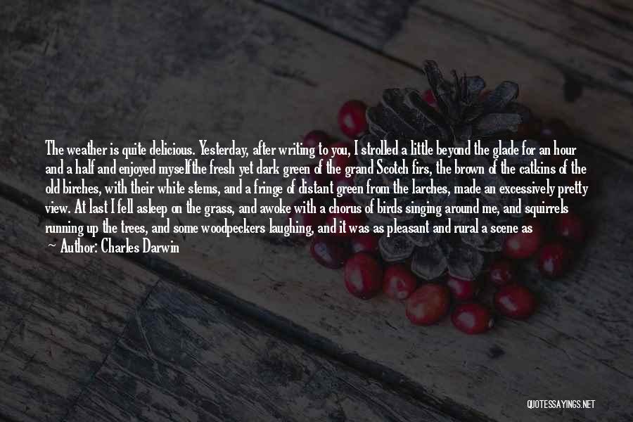 Charles Darwin Quotes: The Weather Is Quite Delicious. Yesterday, After Writing To You, I Strolled A Little Beyond The Glade For An Hour