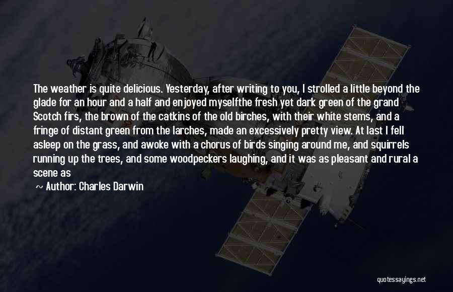 Charles Darwin Quotes: The Weather Is Quite Delicious. Yesterday, After Writing To You, I Strolled A Little Beyond The Glade For An Hour