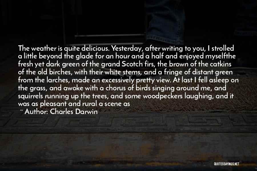 Charles Darwin Quotes: The Weather Is Quite Delicious. Yesterday, After Writing To You, I Strolled A Little Beyond The Glade For An Hour