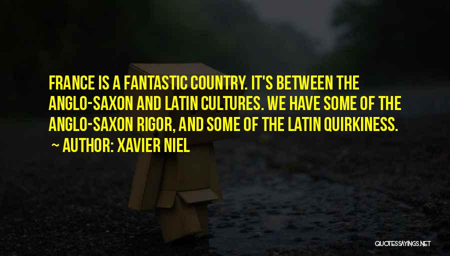 Xavier Niel Quotes: France Is A Fantastic Country. It's Between The Anglo-saxon And Latin Cultures. We Have Some Of The Anglo-saxon Rigor, And