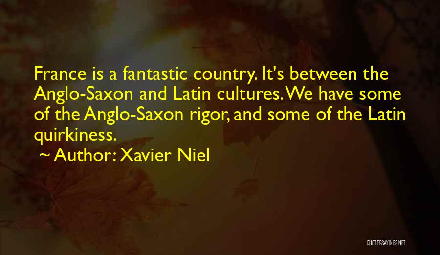 Xavier Niel Quotes: France Is A Fantastic Country. It's Between The Anglo-saxon And Latin Cultures. We Have Some Of The Anglo-saxon Rigor, And