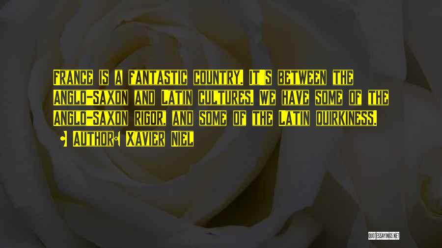 Xavier Niel Quotes: France Is A Fantastic Country. It's Between The Anglo-saxon And Latin Cultures. We Have Some Of The Anglo-saxon Rigor, And