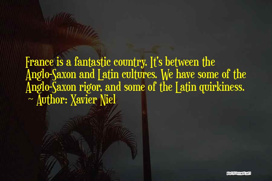 Xavier Niel Quotes: France Is A Fantastic Country. It's Between The Anglo-saxon And Latin Cultures. We Have Some Of The Anglo-saxon Rigor, And