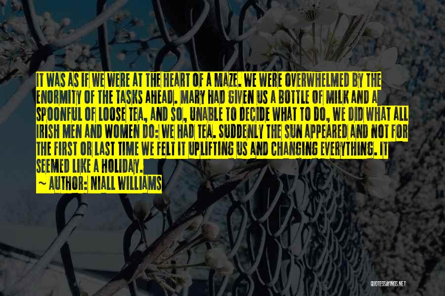 Niall Williams Quotes: It Was As If We Were At The Heart Of A Maze. We Were Overwhelmed By The Enormity Of The