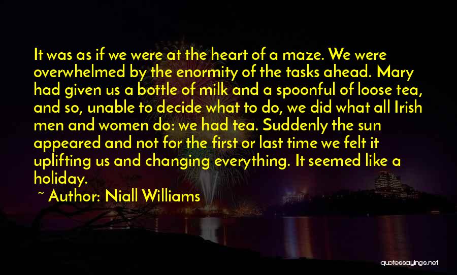 Niall Williams Quotes: It Was As If We Were At The Heart Of A Maze. We Were Overwhelmed By The Enormity Of The