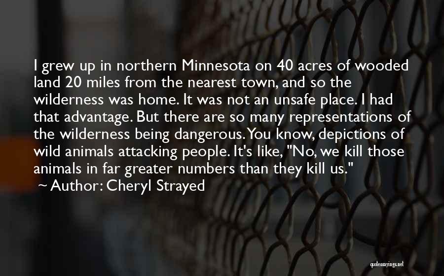 Cheryl Strayed Quotes: I Grew Up In Northern Minnesota On 40 Acres Of Wooded Land 20 Miles From The Nearest Town, And So