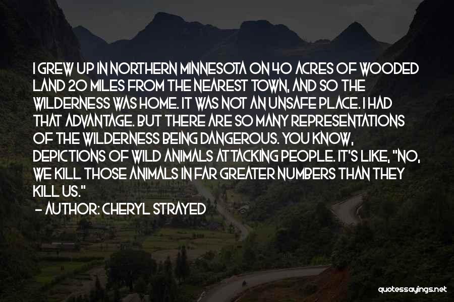 Cheryl Strayed Quotes: I Grew Up In Northern Minnesota On 40 Acres Of Wooded Land 20 Miles From The Nearest Town, And So