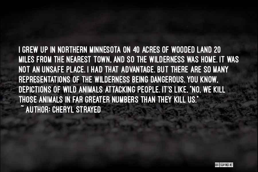 Cheryl Strayed Quotes: I Grew Up In Northern Minnesota On 40 Acres Of Wooded Land 20 Miles From The Nearest Town, And So