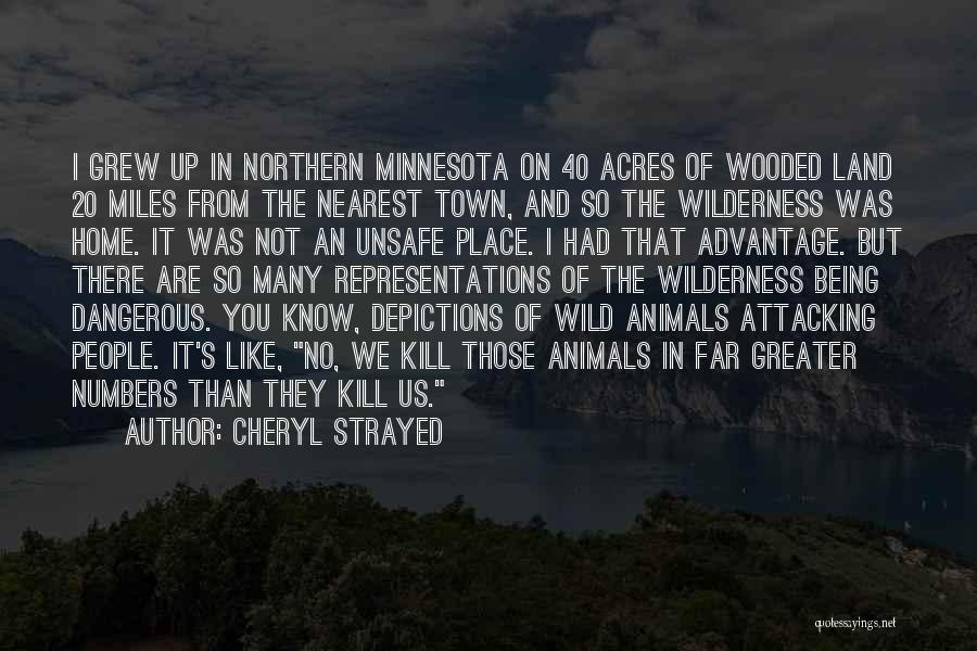 Cheryl Strayed Quotes: I Grew Up In Northern Minnesota On 40 Acres Of Wooded Land 20 Miles From The Nearest Town, And So