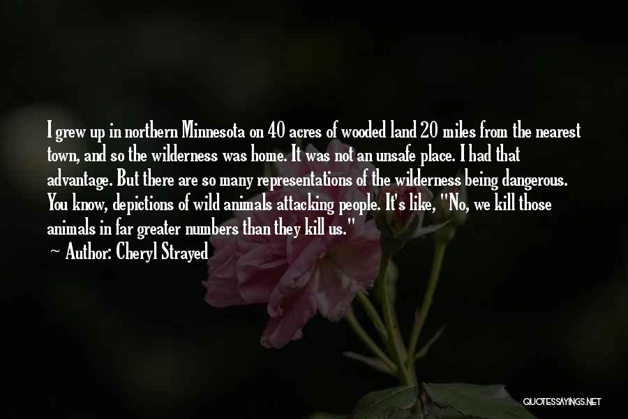 Cheryl Strayed Quotes: I Grew Up In Northern Minnesota On 40 Acres Of Wooded Land 20 Miles From The Nearest Town, And So