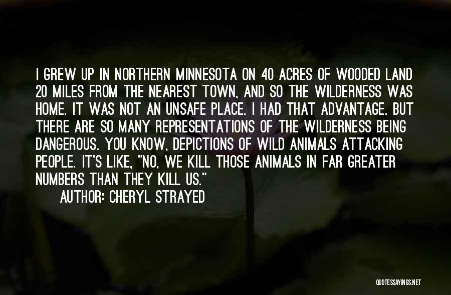 Cheryl Strayed Quotes: I Grew Up In Northern Minnesota On 40 Acres Of Wooded Land 20 Miles From The Nearest Town, And So