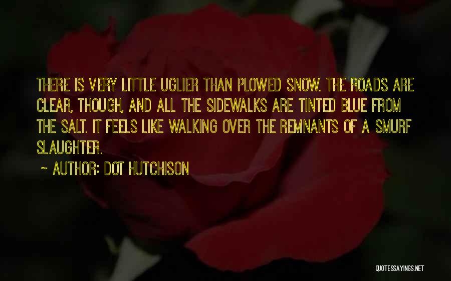 Dot Hutchison Quotes: There Is Very Little Uglier Than Plowed Snow. The Roads Are Clear, Though, And All The Sidewalks Are Tinted Blue