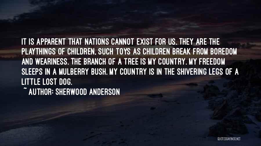 Sherwood Anderson Quotes: It Is Apparent That Nations Cannot Exist For Us. They Are The Playthings Of Children, Such Toys As Children Break