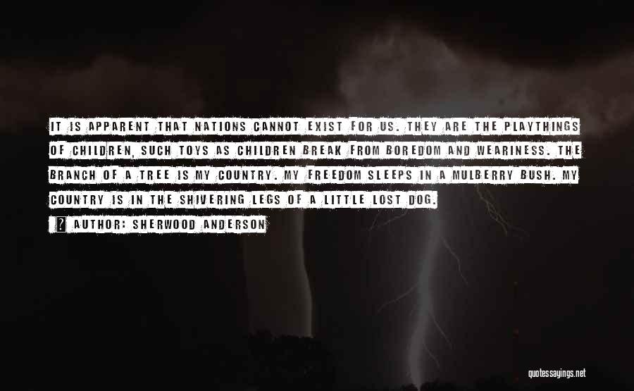 Sherwood Anderson Quotes: It Is Apparent That Nations Cannot Exist For Us. They Are The Playthings Of Children, Such Toys As Children Break
