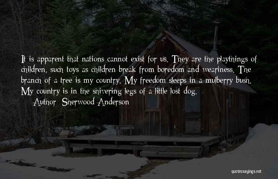 Sherwood Anderson Quotes: It Is Apparent That Nations Cannot Exist For Us. They Are The Playthings Of Children, Such Toys As Children Break