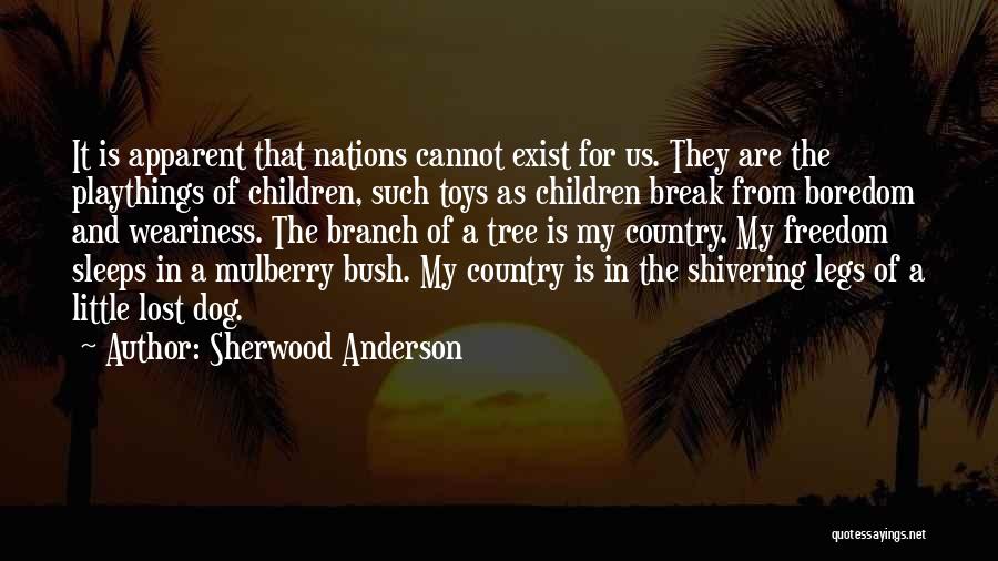 Sherwood Anderson Quotes: It Is Apparent That Nations Cannot Exist For Us. They Are The Playthings Of Children, Such Toys As Children Break