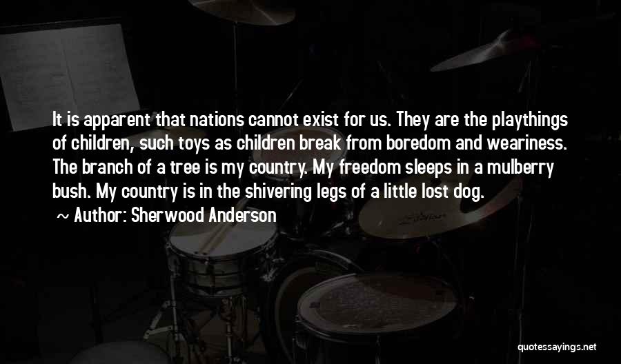 Sherwood Anderson Quotes: It Is Apparent That Nations Cannot Exist For Us. They Are The Playthings Of Children, Such Toys As Children Break