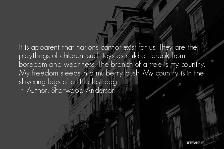 Sherwood Anderson Quotes: It Is Apparent That Nations Cannot Exist For Us. They Are The Playthings Of Children, Such Toys As Children Break