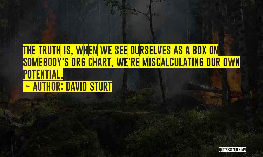 David Sturt Quotes: The Truth Is, When We See Ourselves As A Box On Somebody's Org Chart, We're Miscalculating Our Own Potential.
