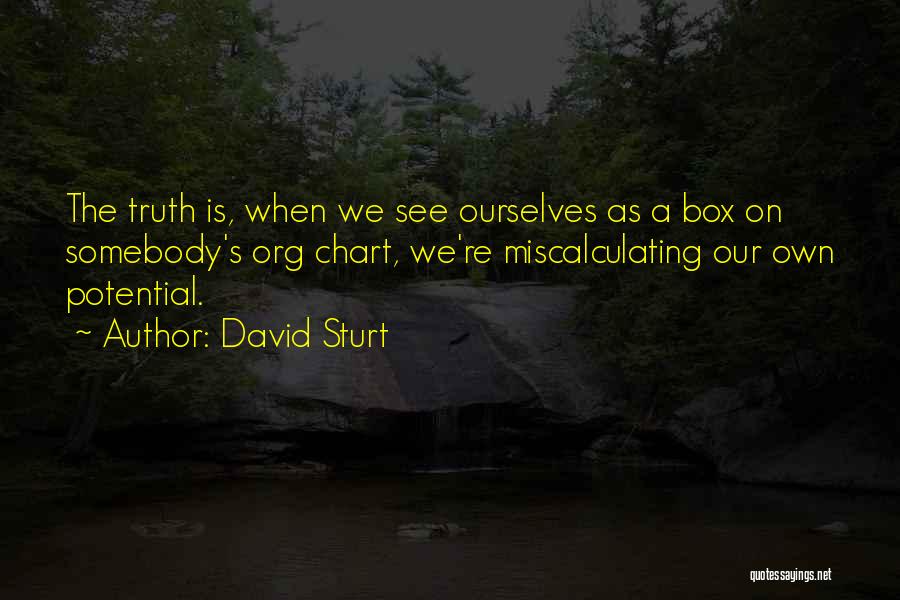 David Sturt Quotes: The Truth Is, When We See Ourselves As A Box On Somebody's Org Chart, We're Miscalculating Our Own Potential.