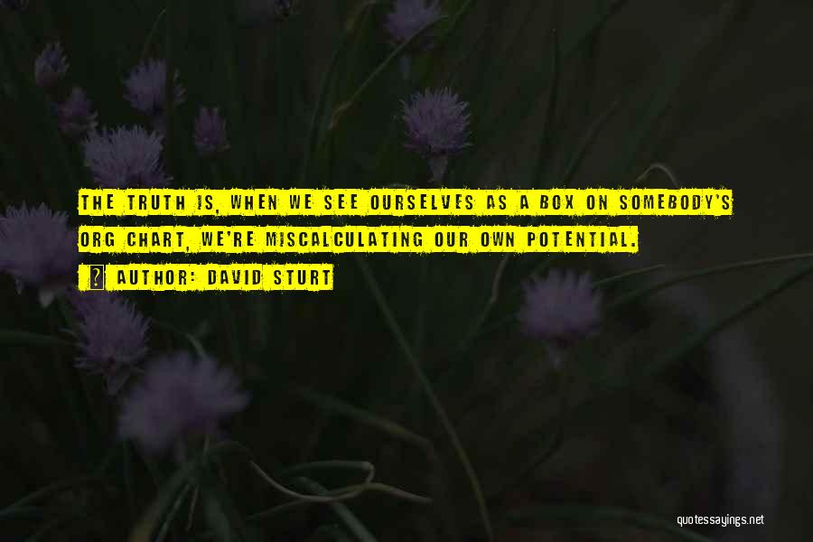 David Sturt Quotes: The Truth Is, When We See Ourselves As A Box On Somebody's Org Chart, We're Miscalculating Our Own Potential.