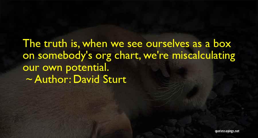 David Sturt Quotes: The Truth Is, When We See Ourselves As A Box On Somebody's Org Chart, We're Miscalculating Our Own Potential.