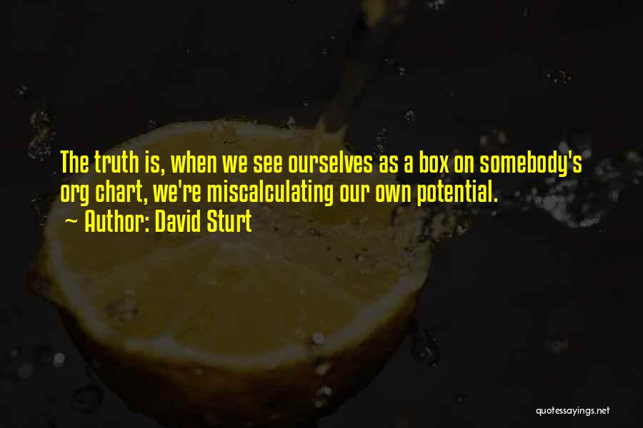 David Sturt Quotes: The Truth Is, When We See Ourselves As A Box On Somebody's Org Chart, We're Miscalculating Our Own Potential.