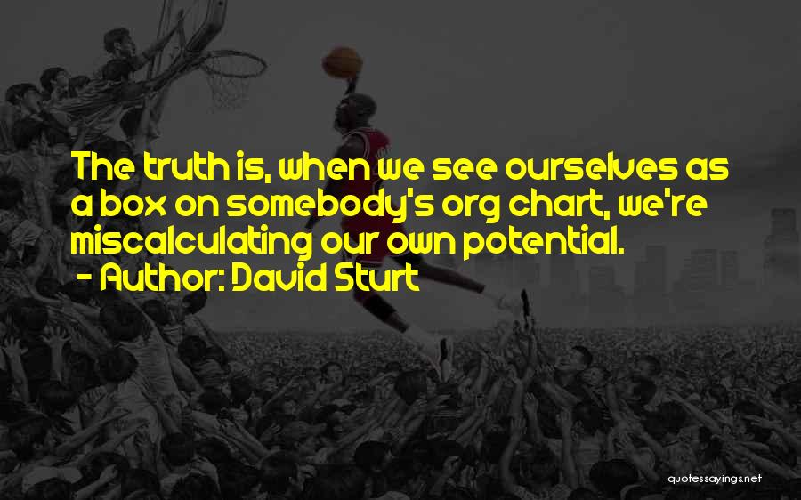 David Sturt Quotes: The Truth Is, When We See Ourselves As A Box On Somebody's Org Chart, We're Miscalculating Our Own Potential.