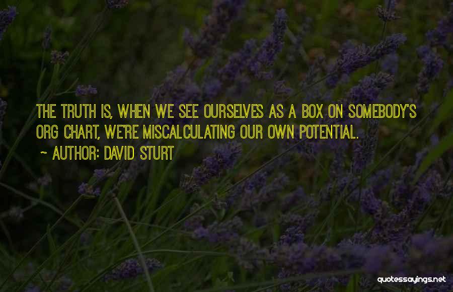 David Sturt Quotes: The Truth Is, When We See Ourselves As A Box On Somebody's Org Chart, We're Miscalculating Our Own Potential.