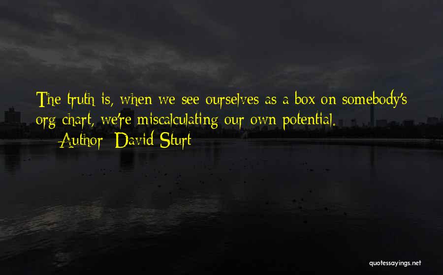 David Sturt Quotes: The Truth Is, When We See Ourselves As A Box On Somebody's Org Chart, We're Miscalculating Our Own Potential.