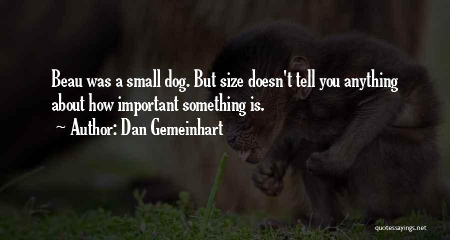 Dan Gemeinhart Quotes: Beau Was A Small Dog. But Size Doesn't Tell You Anything About How Important Something Is.