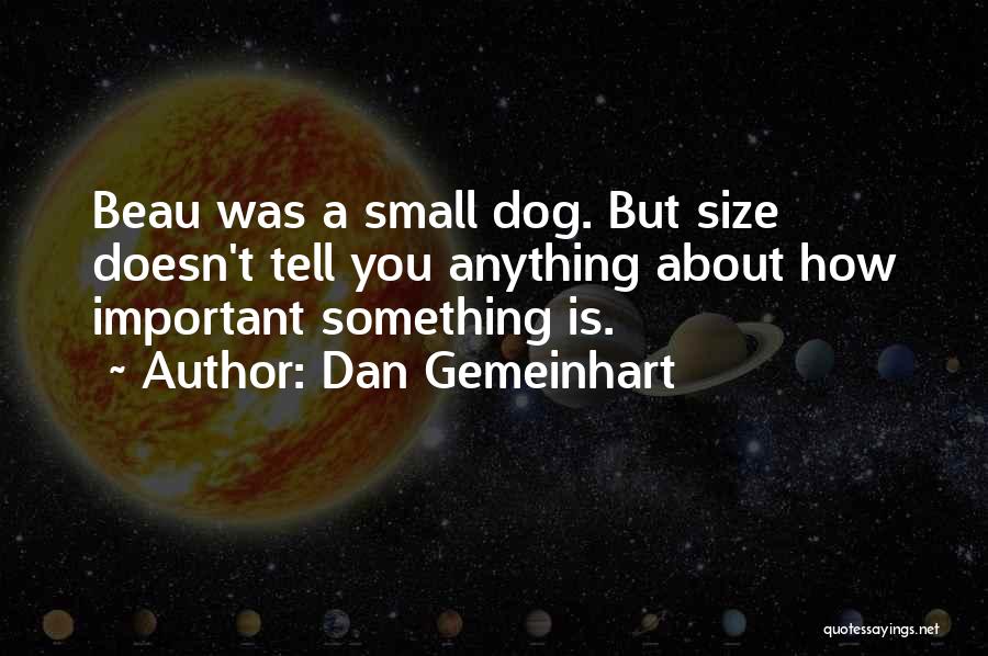 Dan Gemeinhart Quotes: Beau Was A Small Dog. But Size Doesn't Tell You Anything About How Important Something Is.