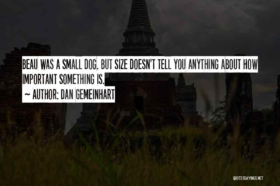 Dan Gemeinhart Quotes: Beau Was A Small Dog. But Size Doesn't Tell You Anything About How Important Something Is.