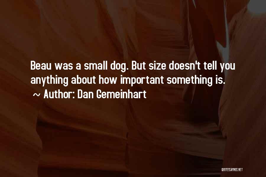 Dan Gemeinhart Quotes: Beau Was A Small Dog. But Size Doesn't Tell You Anything About How Important Something Is.