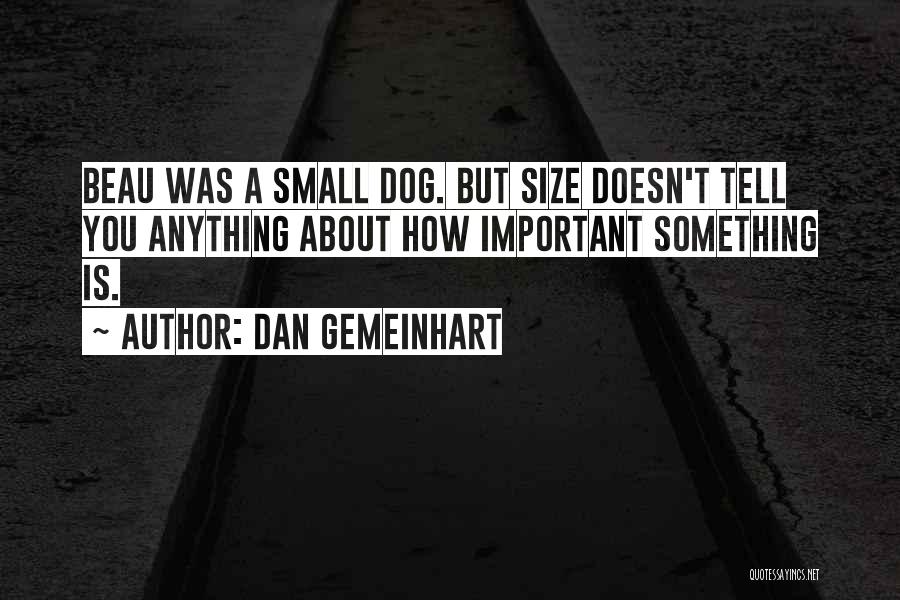 Dan Gemeinhart Quotes: Beau Was A Small Dog. But Size Doesn't Tell You Anything About How Important Something Is.