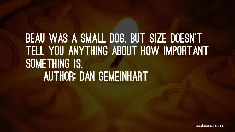 Dan Gemeinhart Quotes: Beau Was A Small Dog. But Size Doesn't Tell You Anything About How Important Something Is.